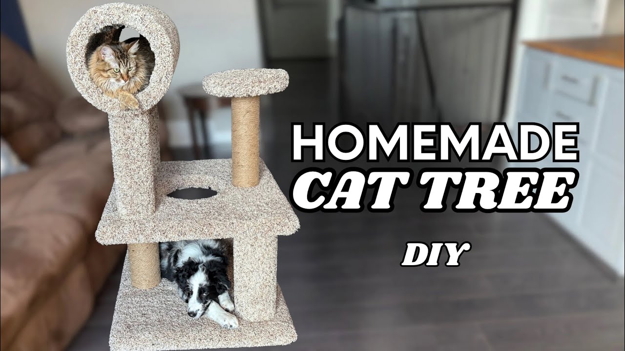DIY Homemade Cat Tree From Scratch | Better Than Store-Bought!