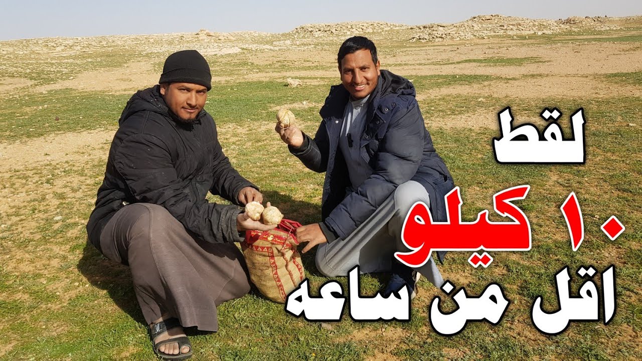 فقع الجوف لقط اقل من ساعه ما شاء الله خيشة عشره كيلو فل