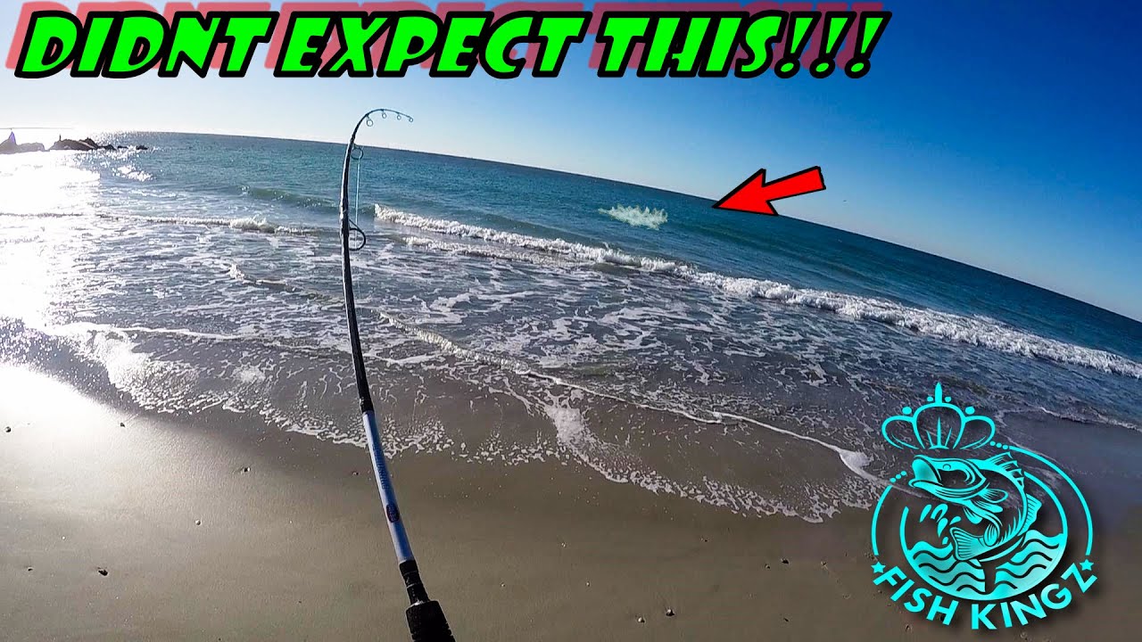 BEAUFORT NC!!! FORT MACON NC!!! RADIO ISLAND NC!!! PICK ONE!!!