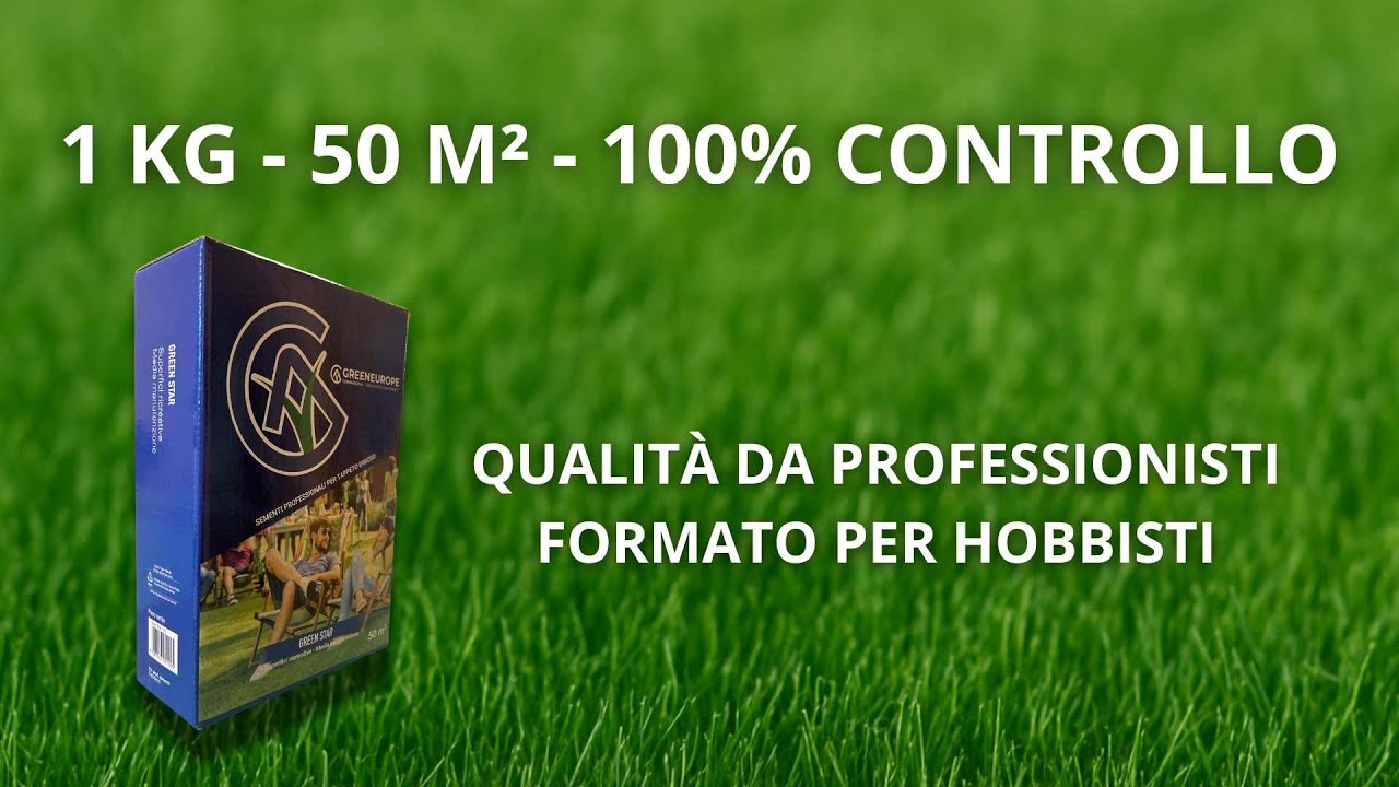 Sementi per prato