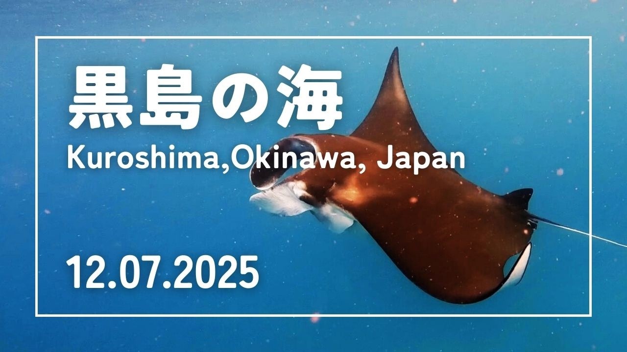 【素潜りの記録】石垣島 黒島方面｜水面マンタ｜2025年12月07日
