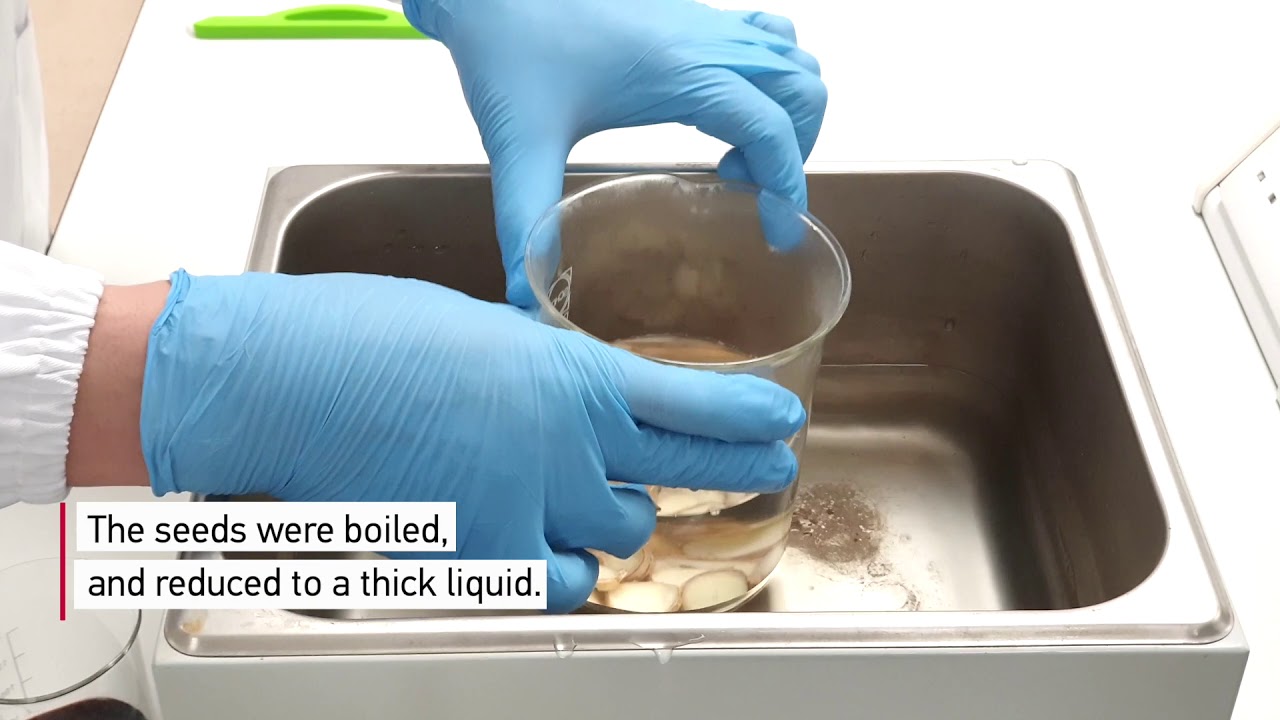 Using durian seeds to make food stabilisers