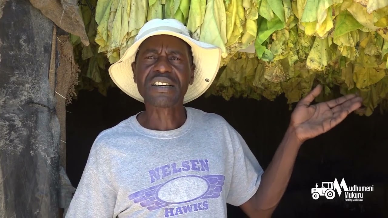 Tsotso Barn – Smart Tobacco Curing with Less Firewood