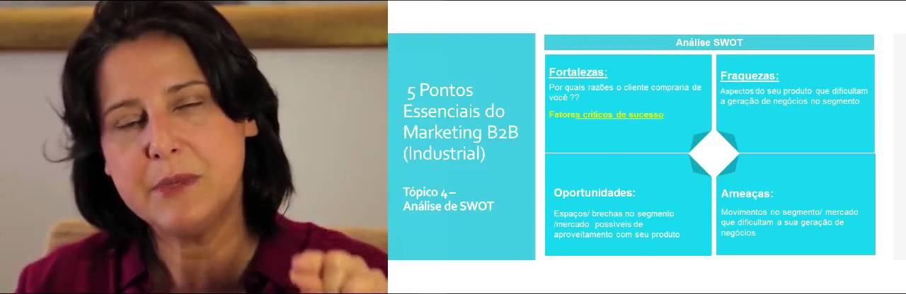 Estratégias de Marketing B2B - Ana Paula Martins