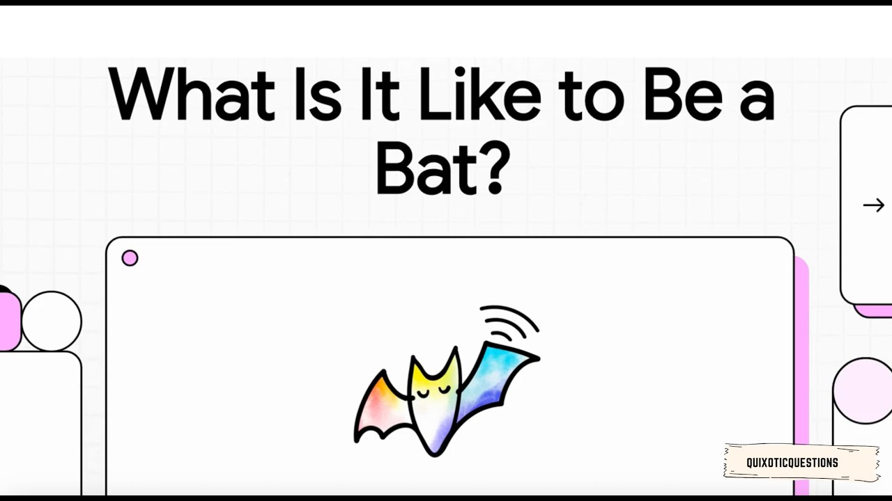 What Is It Like To Be a Bat? Thomas Nagel explained! Quixotic Questions