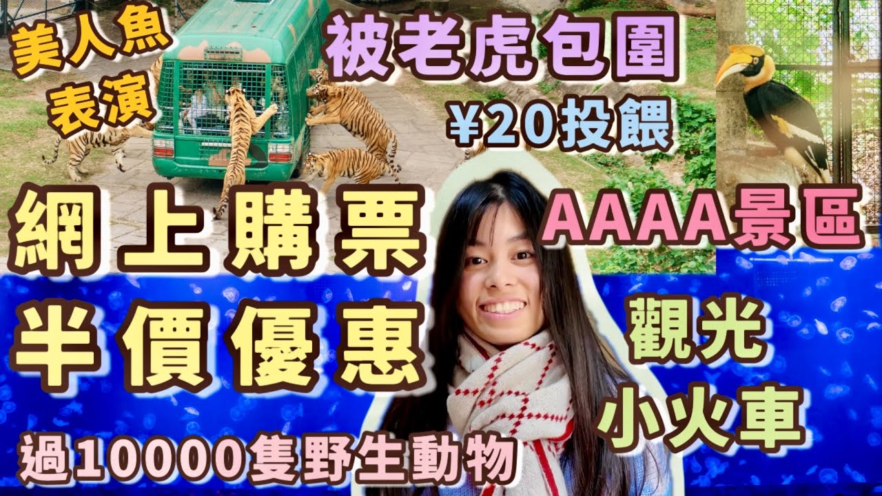 【南山區】深圳野生動物園🐯港人$99玩足一天😱水族館只是超細魚缸😢🐟近距離餵老虎和長頸鹿🦒🐻遊玩攻略、必買項目｜西麗湖站｜園內交通、園內用餐攻略｜#親子旅遊👍🏻深圳打卡必去