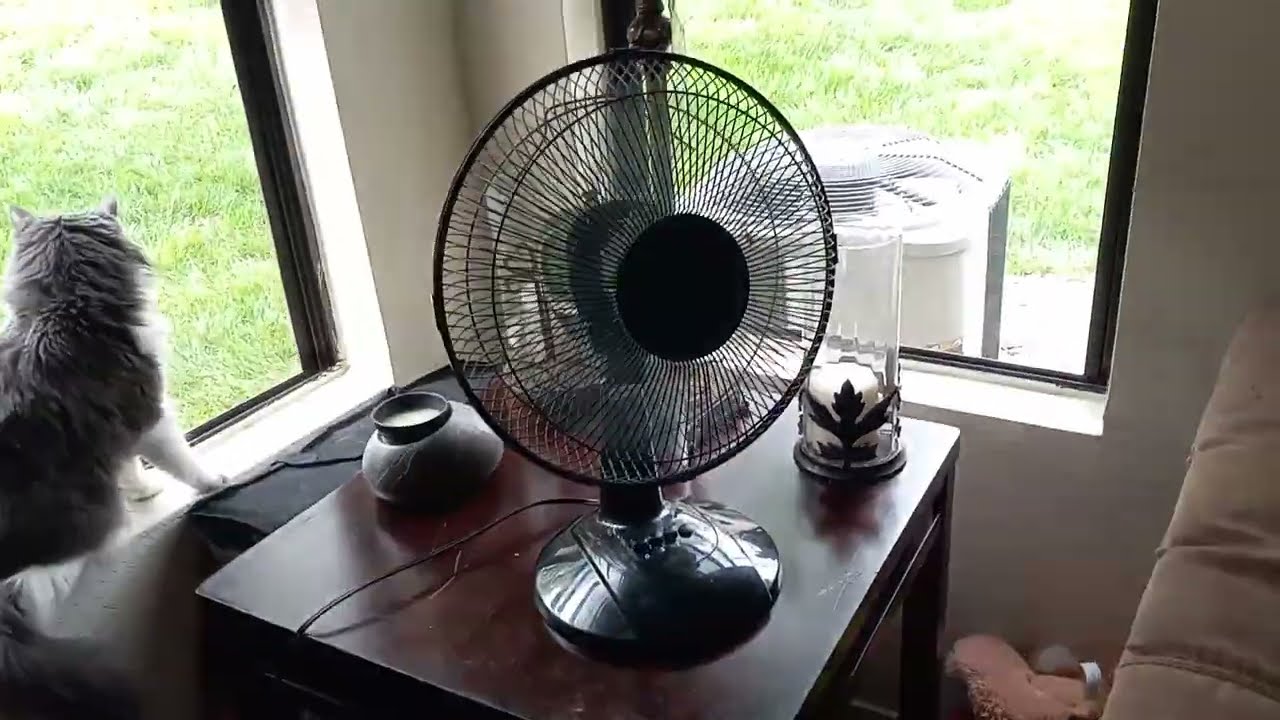 Cheap Mainstays Table Fan