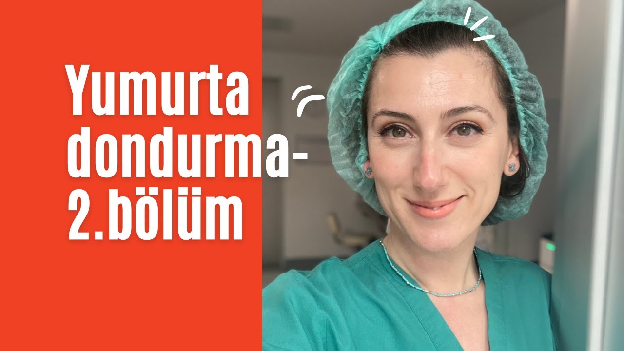 Yumurta dondurma-2. bölüm