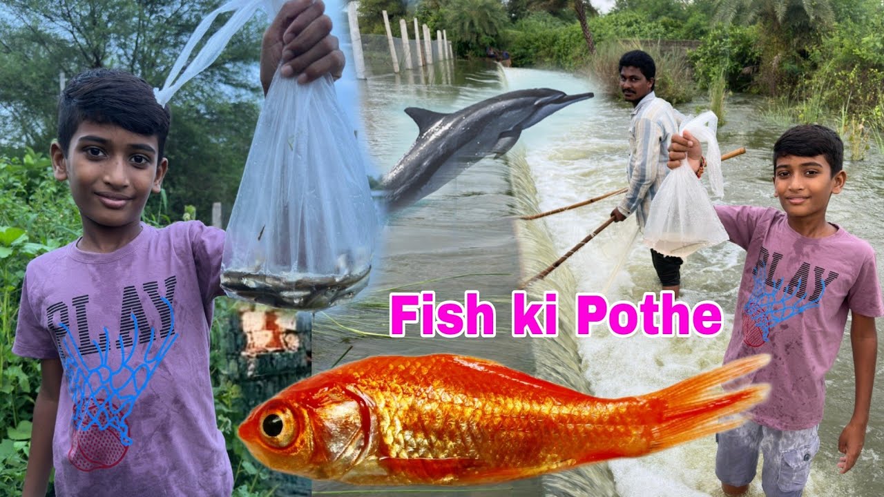 Chepalu pattinam cheruvu daggara || Manu Videos || fish Videos || Telugu letest All Aoz