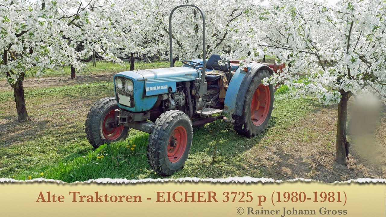 Alte Traktoren -  Eicher 3725 p (1980-1981)