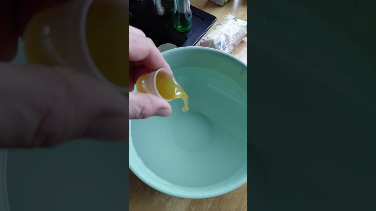 Volantor środa test w rozplodzie 