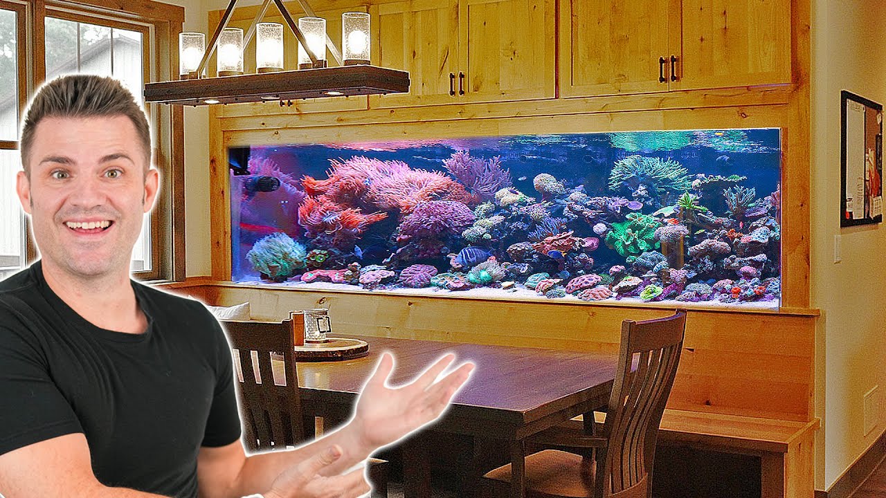 Building a House JUST For These Amazing Aquariums