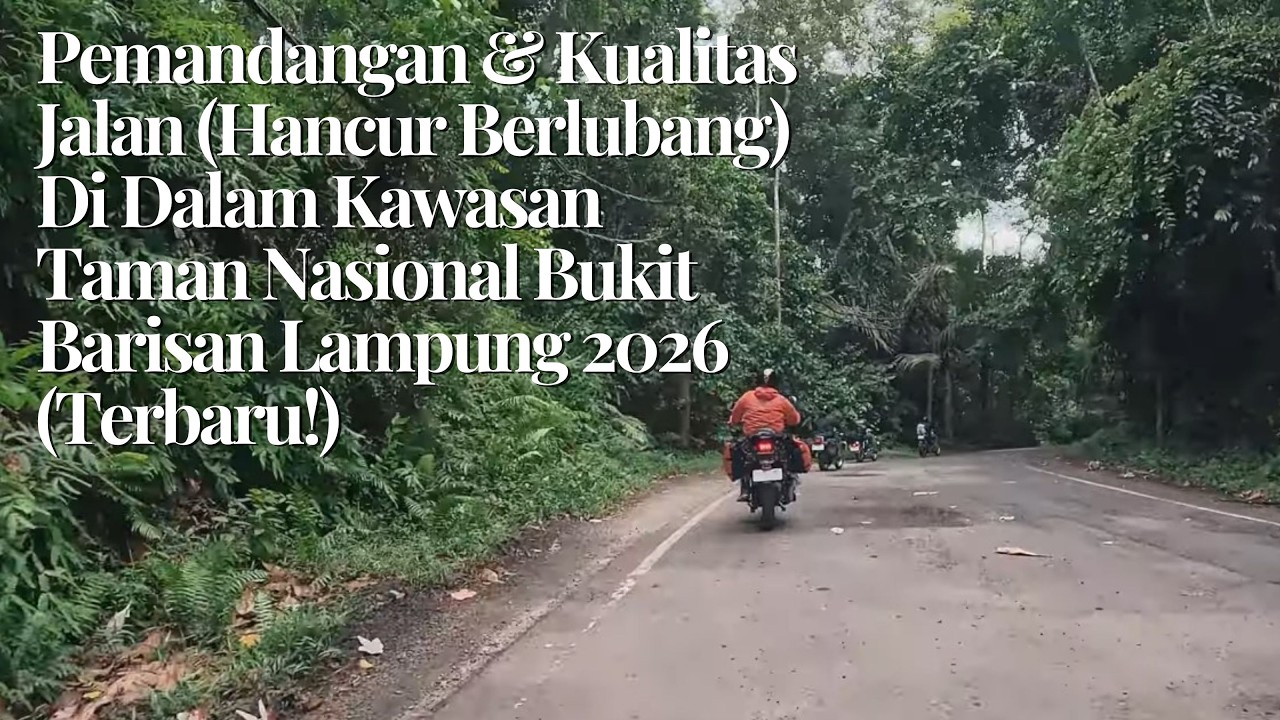 Pemandangan & Kualitas Jalan Di Dalam Kawasan Taman Nasional Bukit Barisan Lampung 2026 (Terbaru!)
