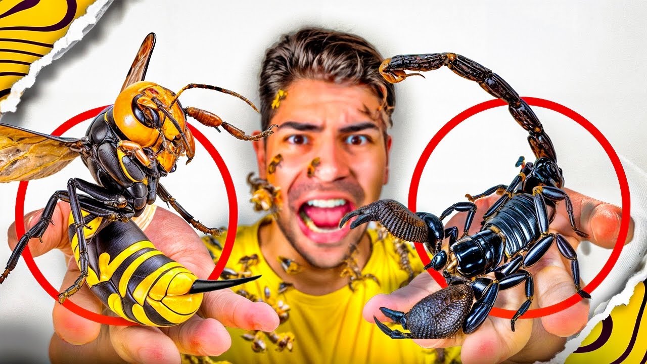 ABELHA X ESCORPI&Atilde;O ( BATALHA DE INSETOS )