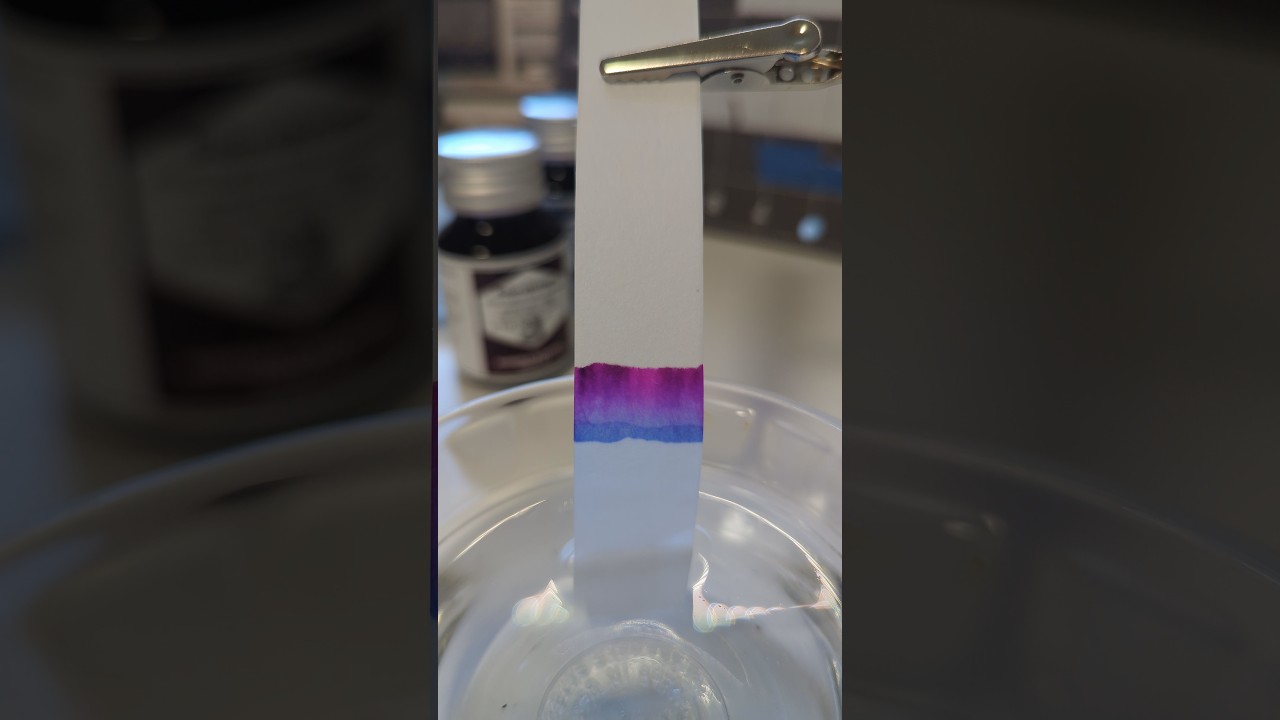 Ink Chromatography Time Lapse | De Atramentis Lilac 