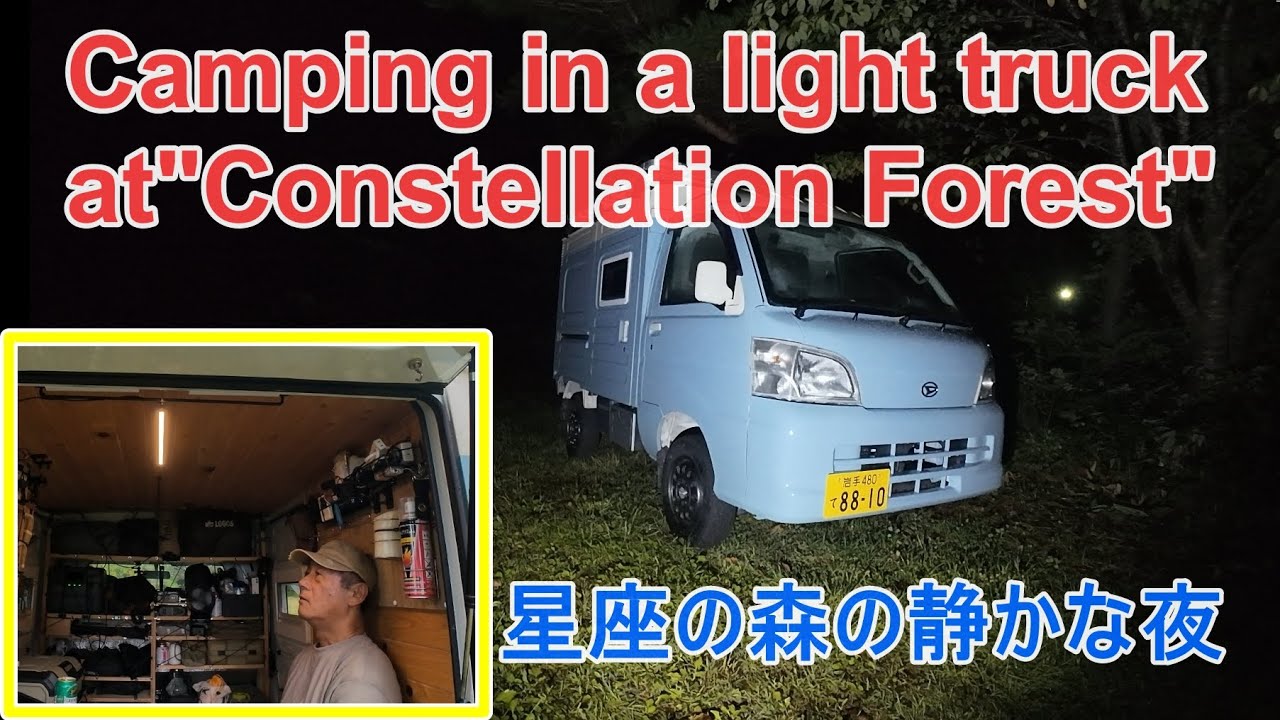 «Созвездие леса» — сон в машине под дождём и холодом