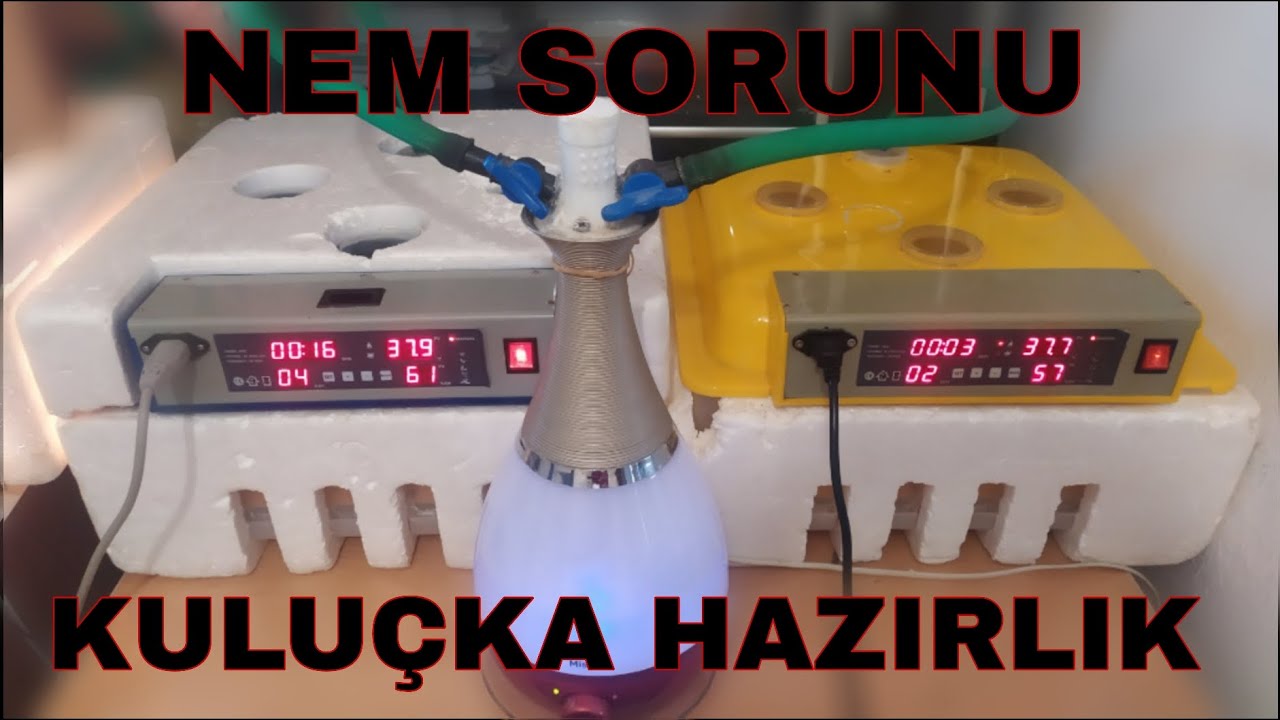 KULUÇKA MAKİNELERİMİ HAZIRLIYORUM /Nem Sorunu çözüm  /Basit Kuluçka Makinesini Tam Otomatik Yapma