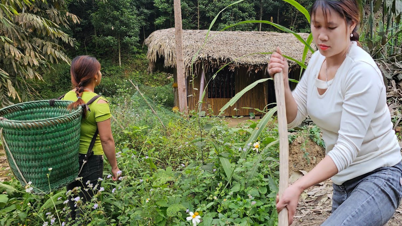 The young girl single-handedly rebuilt the abandoned farm from scratch. 