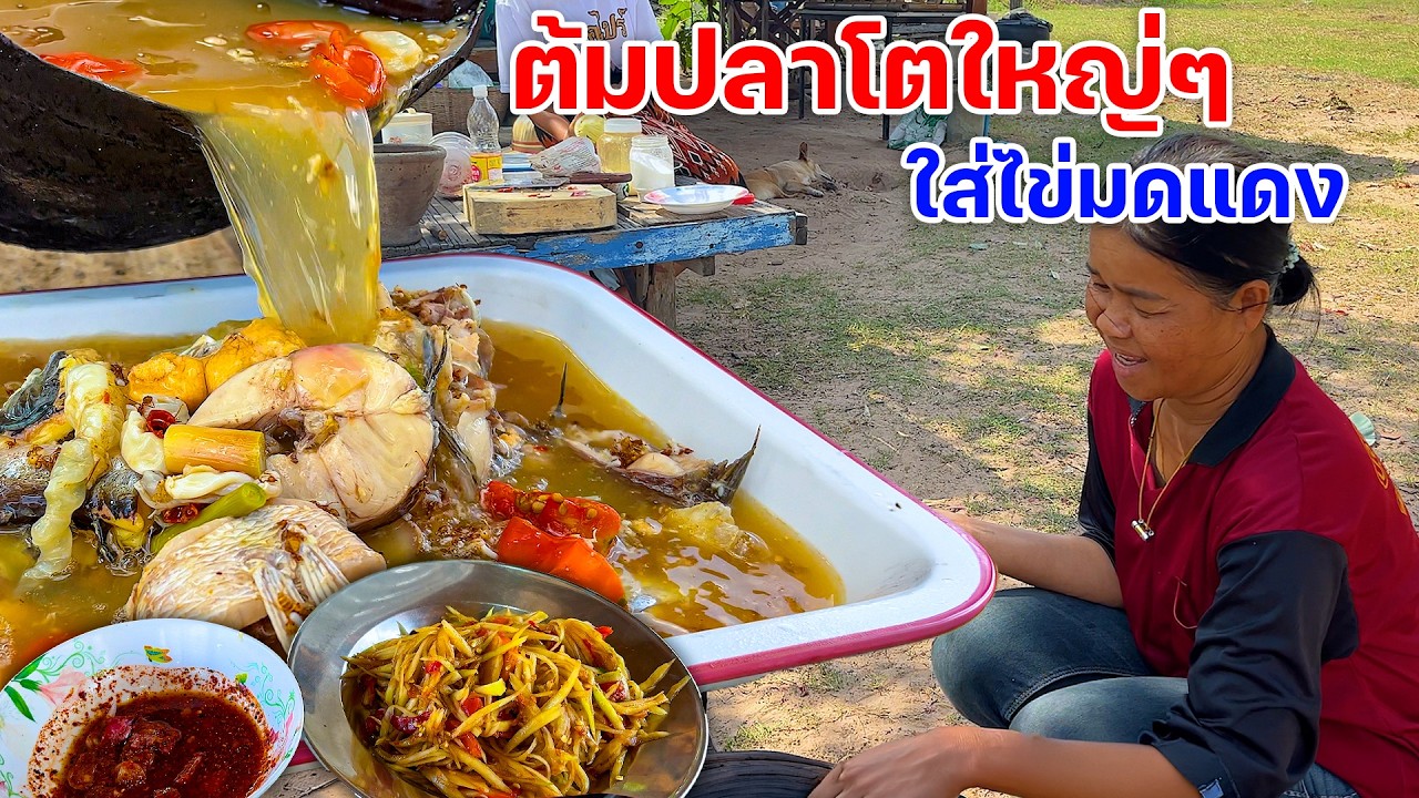 ต้มปลาโตใหญ่ๆ ใส่ไข่มดแดง แกล้มตำบักหุ่งเผ็ดๆ