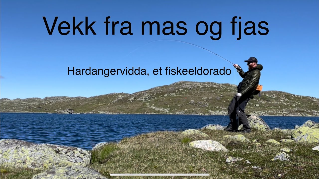 8 Dager uten mas på Hardangervidda
