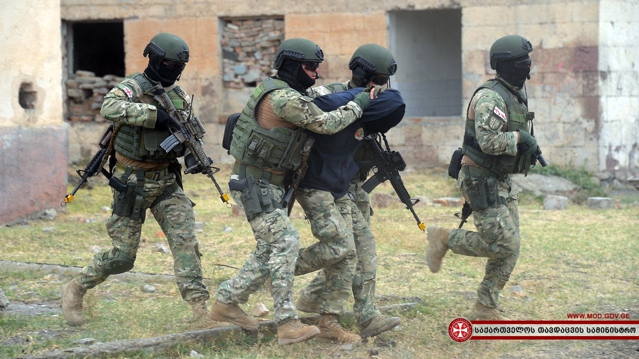 Georgian Army 2019 | Military Power