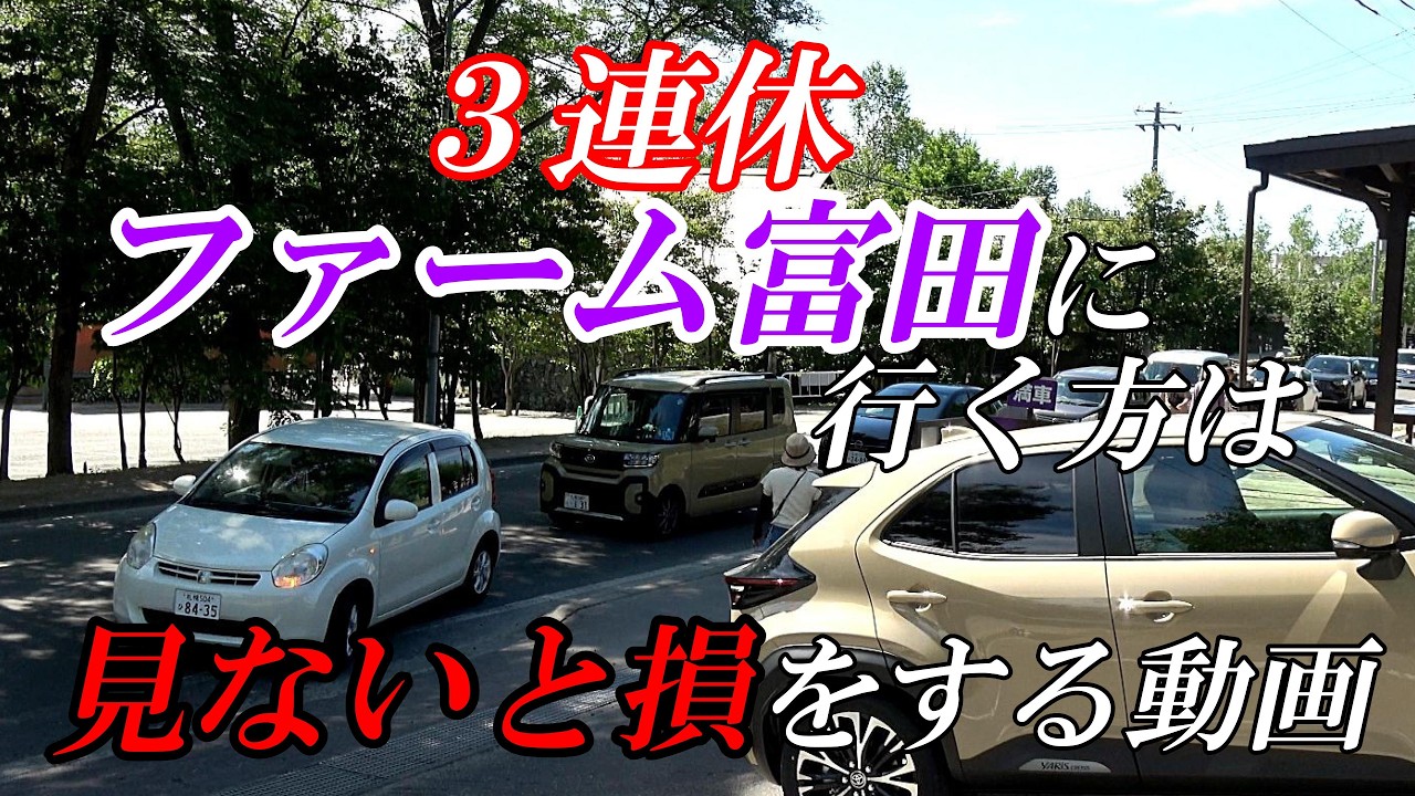 【ファーム富田】今年１番の美しさと渋滞状況！！「３連休ファーム富田へ行く方の為に」４Ｋ