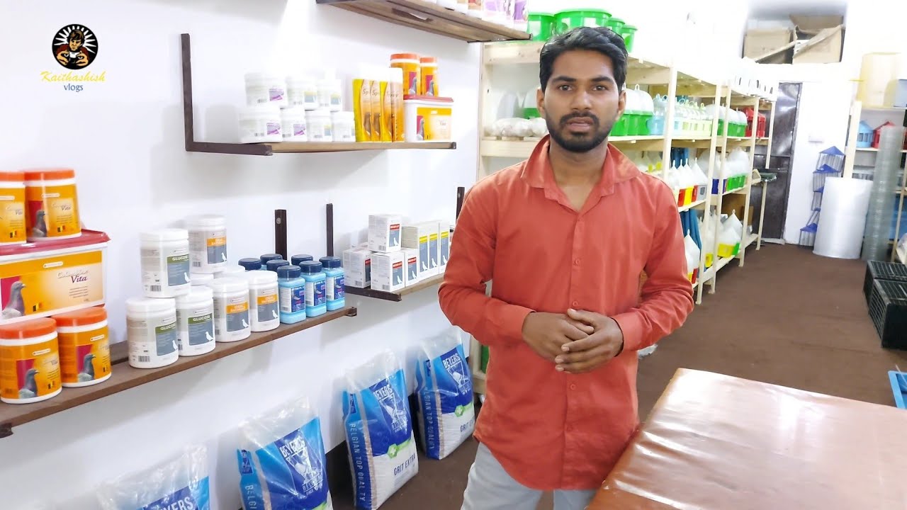 All pigeon's product Available in this shop 09718660172,