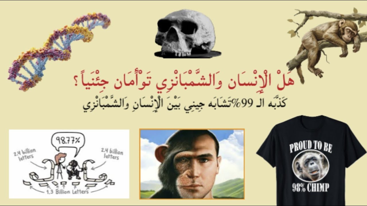 هل الإنسان والشمبانزي توأمان جينيًا بـ 99٪ تشابه جيني؟  اكتشف الكذبة التي خدعت العالم!