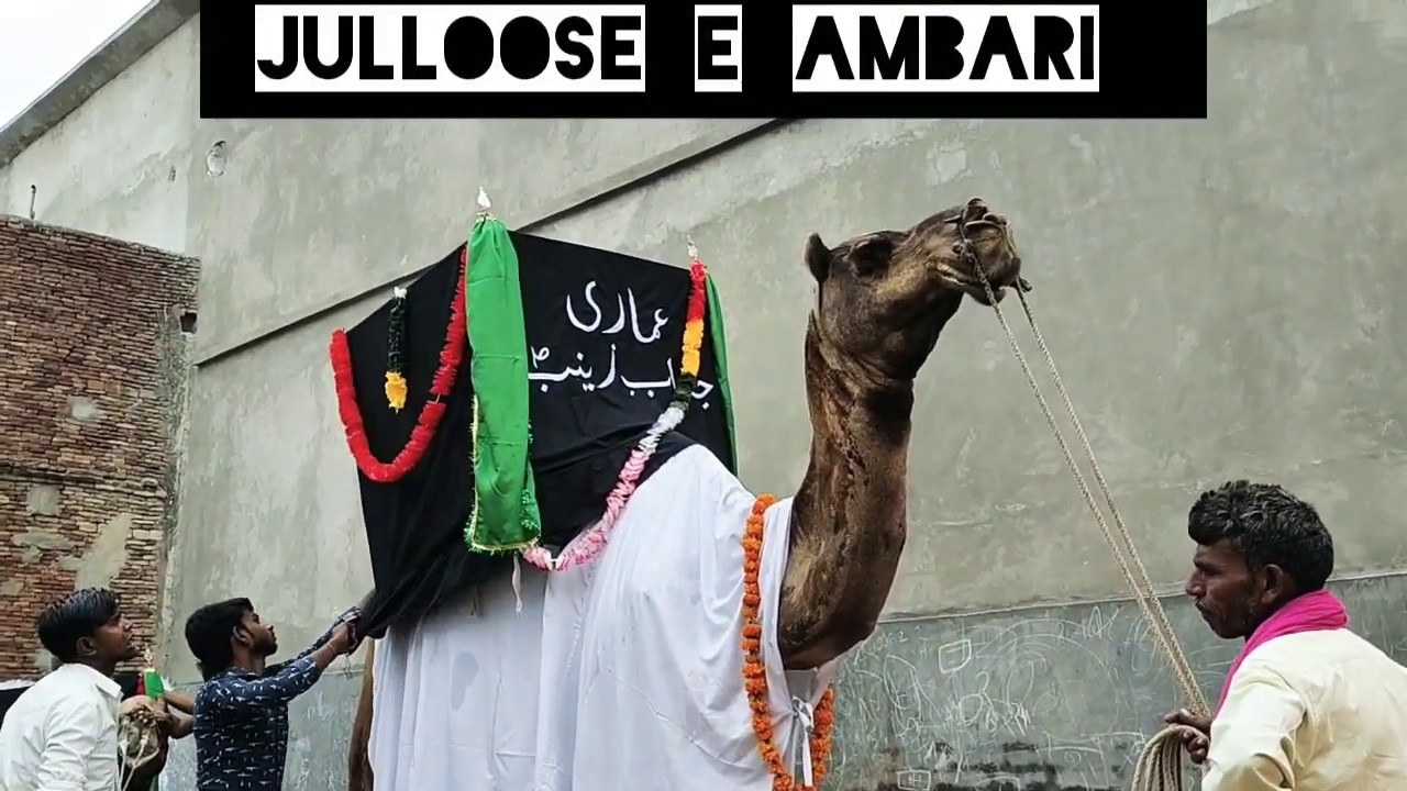 Jalali azadari 8th Rabbi ul Awwal 1441 Hijri Julloose e Ambari 1st Part
