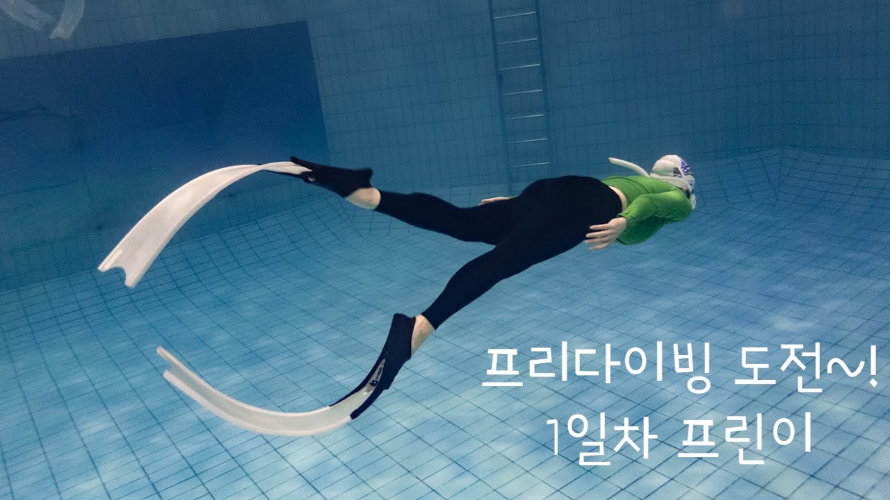 🐳프리다이빙 배우기🐳 1일차 프린이