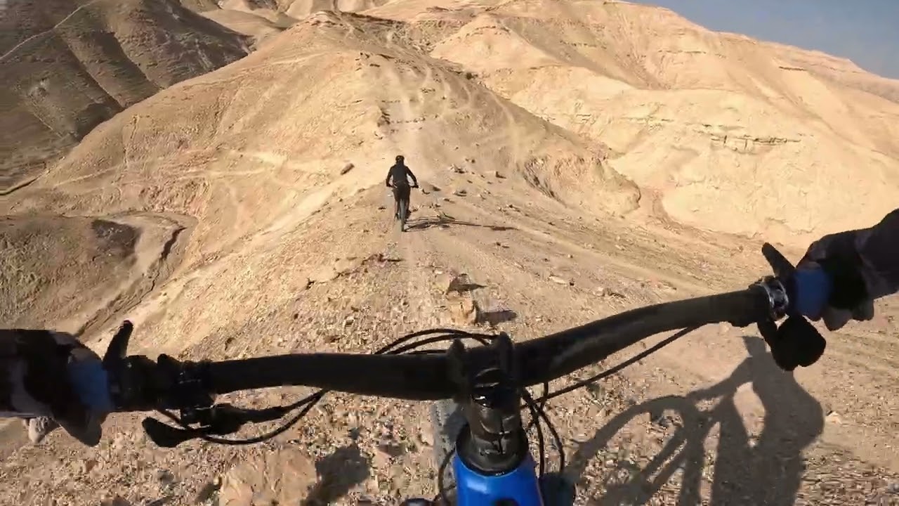 רכילדת 41