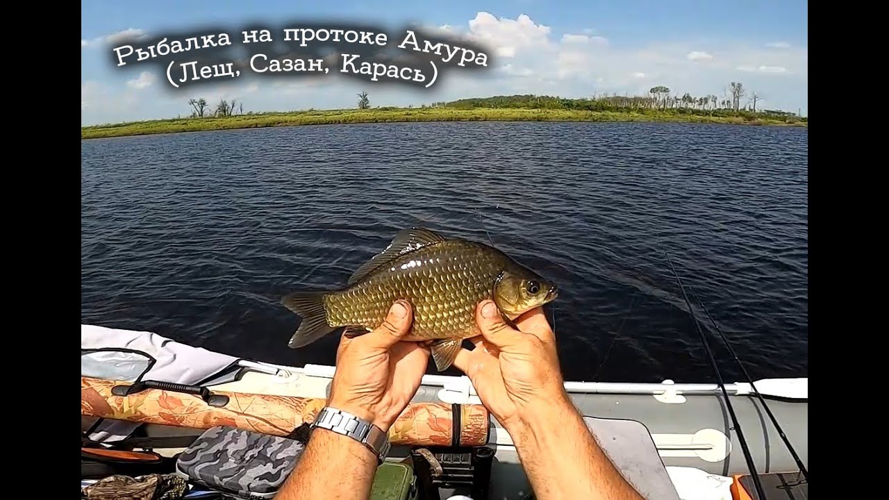 Рыбалка на протоке Амура (Лещ, Сазан, Карась)
