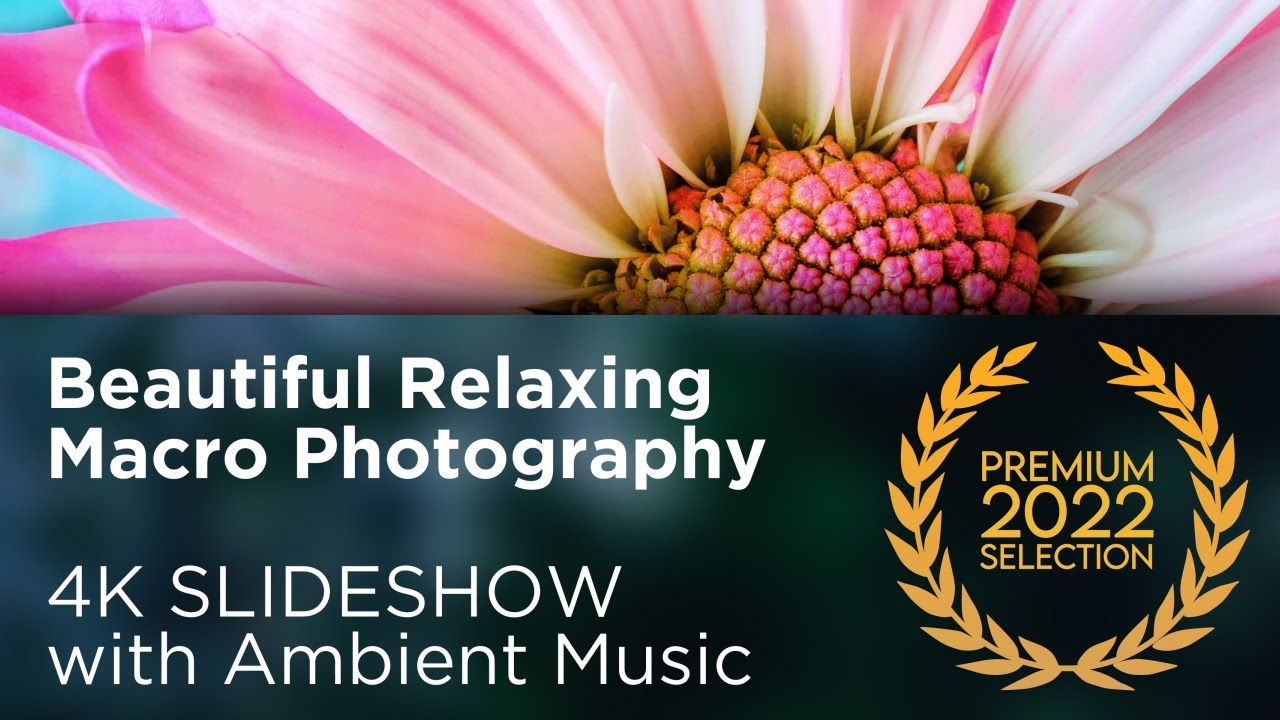 Macro Wonders in 4K | Relaxing Slideshow with Ambient Music for Meditation & Mindfulness