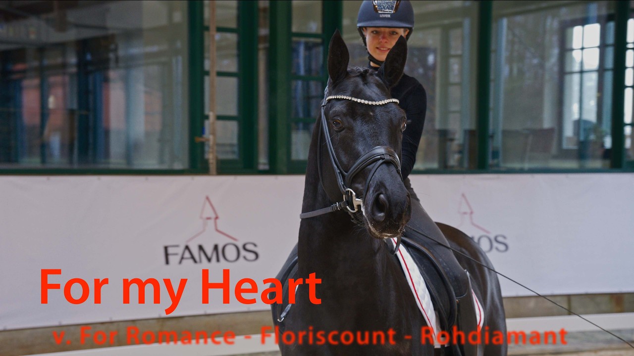 For my Heart v. For Romance - Floriscount - Rohdiamant - Gestüt Famos