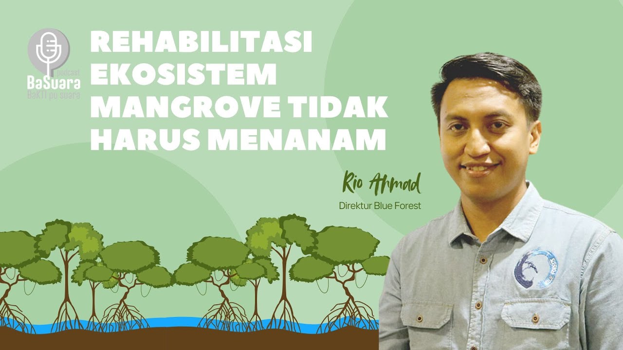 Rehabilitasi Ekosistem Mangrove Tidak Harus Menanam