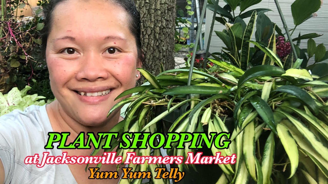 PLANT SHOPPING at Jacksonville Farmers Market #108