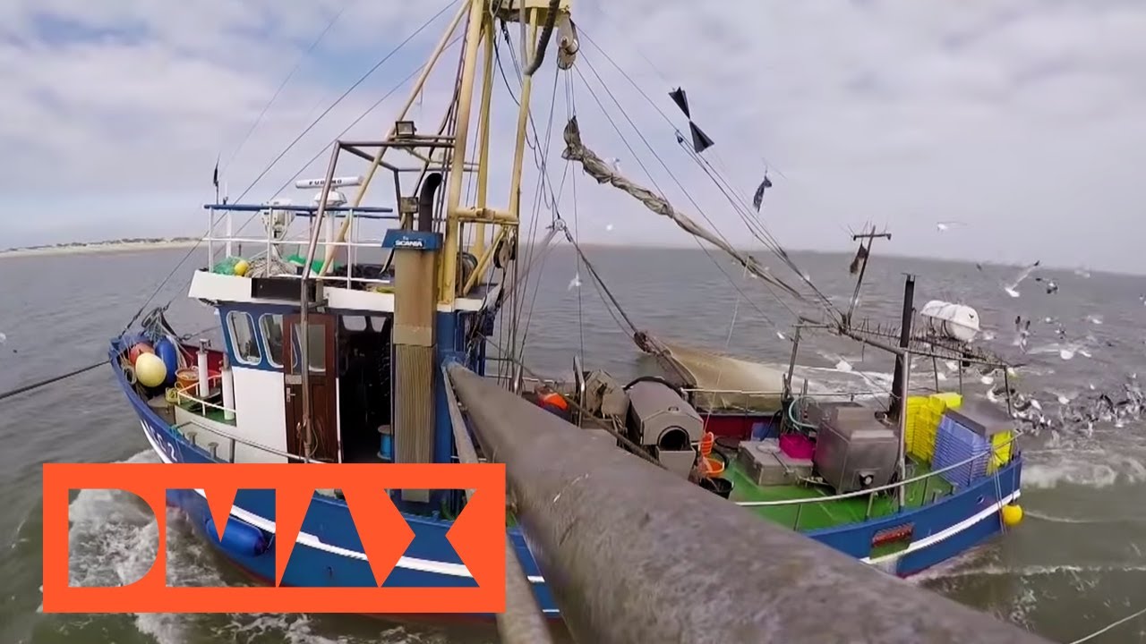 Am Krabbenkutter | M&auml;nner der See | DMAX Deutschland