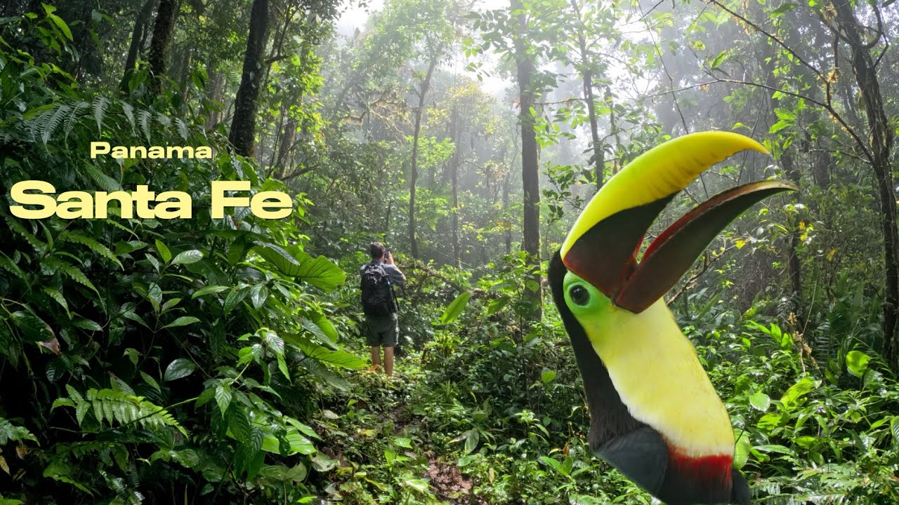 Santa Fe, Panama | River Fishing, Birding, and Hiking in Cloud Forest
