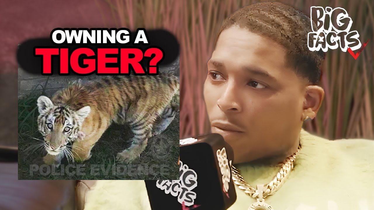 Trap Boy Freddy Was Arrested For Pet Tiger?