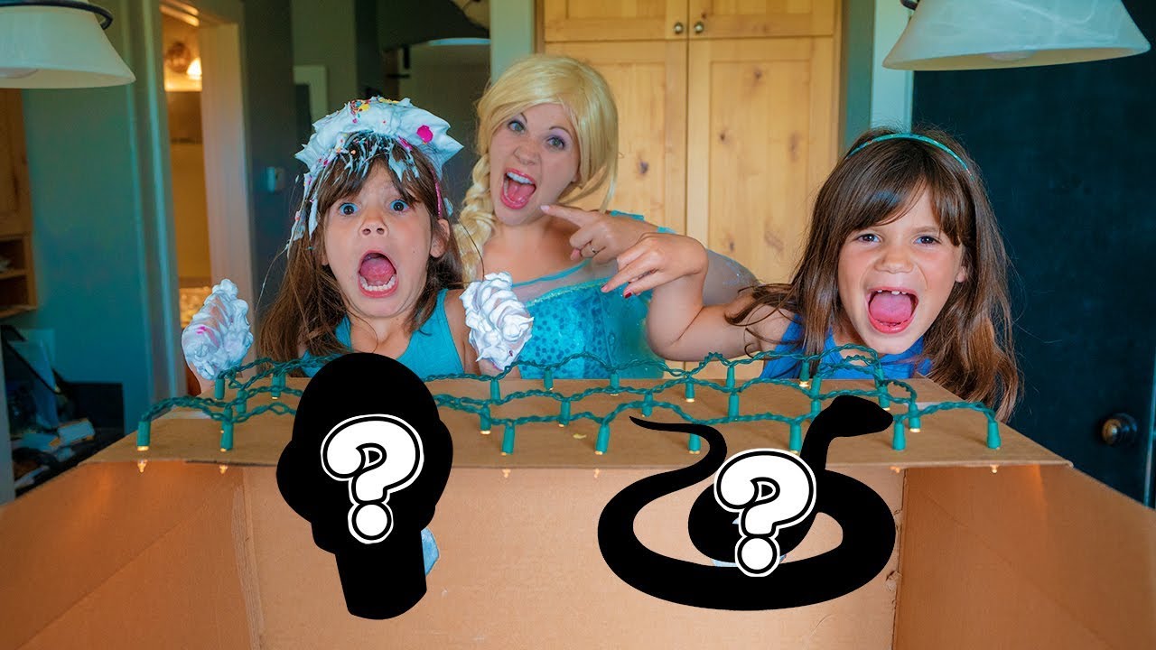 What's in the box CHALLENGE with Frozen Elsa and Twins Kate & Lilly!