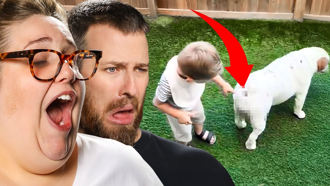 TRY NOT TO LAUGH: Blessed and Cursed Internet Fails