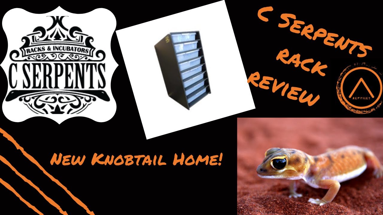 C Serpents Rack Review