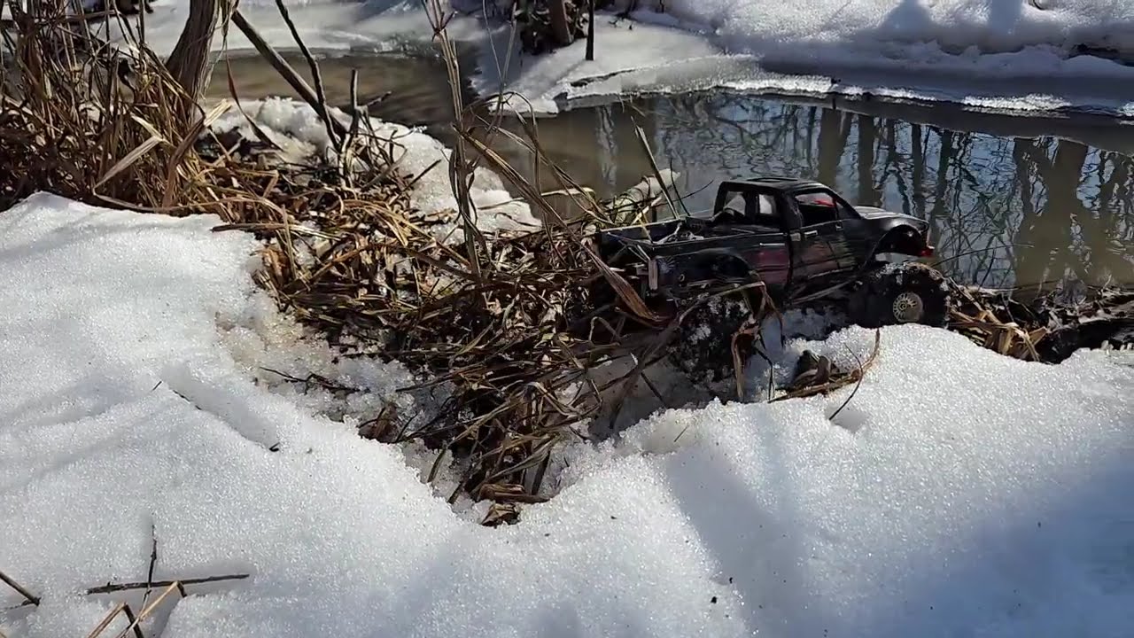 Vader playing in the creek. 