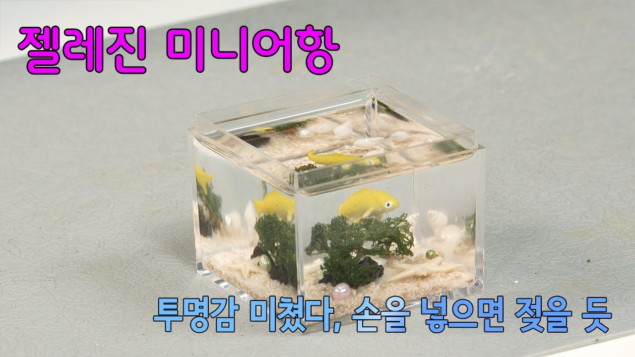 젤레진 미니어항 만들기