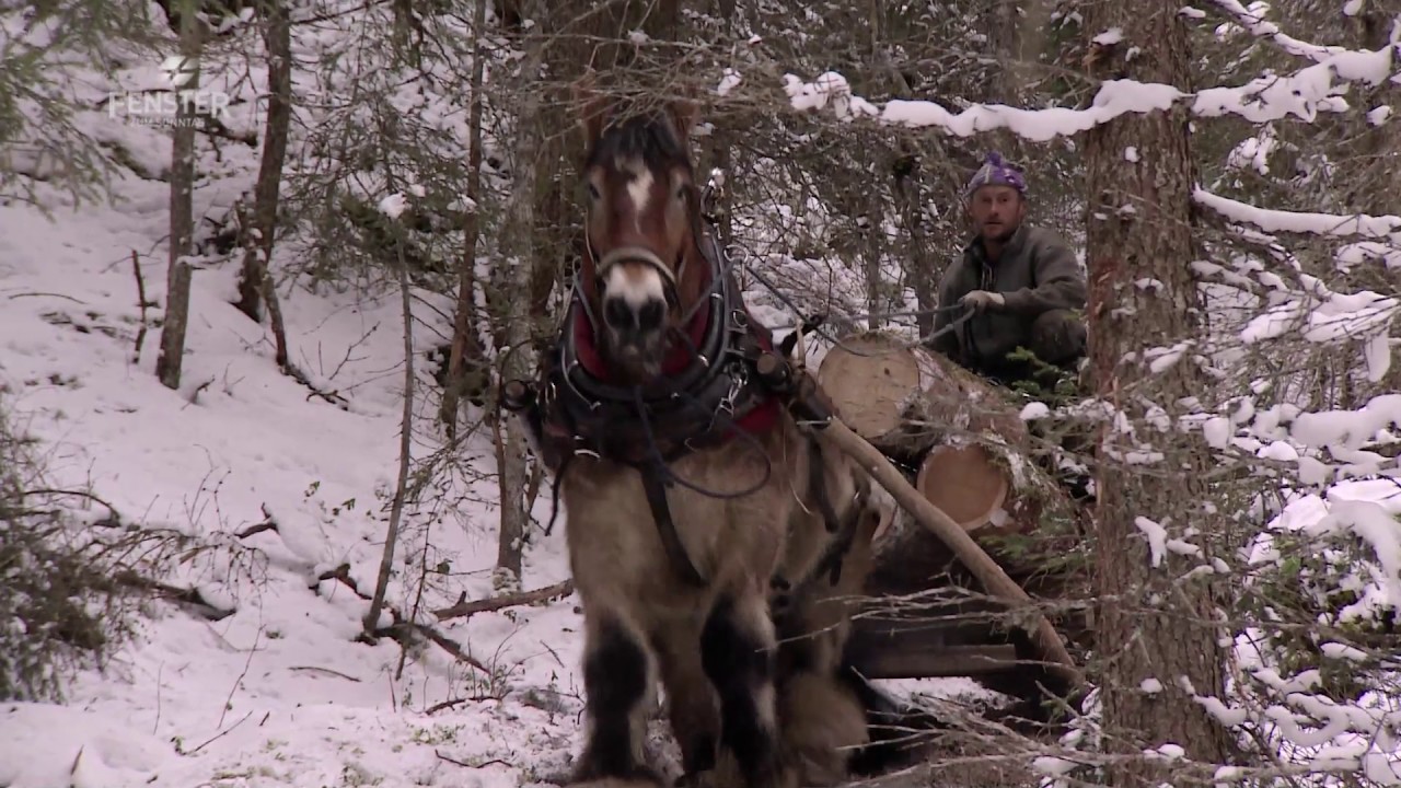 &laquo;Viva l'Engiadina&raquo; am 11./12.02.2017 (Holzr&uuml;cker, Bonus-Clip)