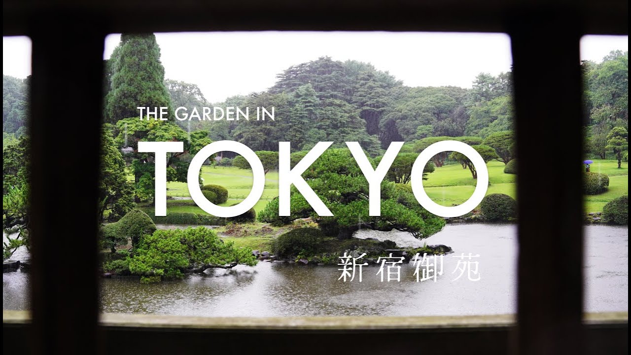 【新宿御苑・浜離宮恩賜庭園 】梅雨の東京公園散歩 | SHINJYUKU GYOEN | HAMA-RIKYU GARDENS | RAINY SEASON IN JAPAN