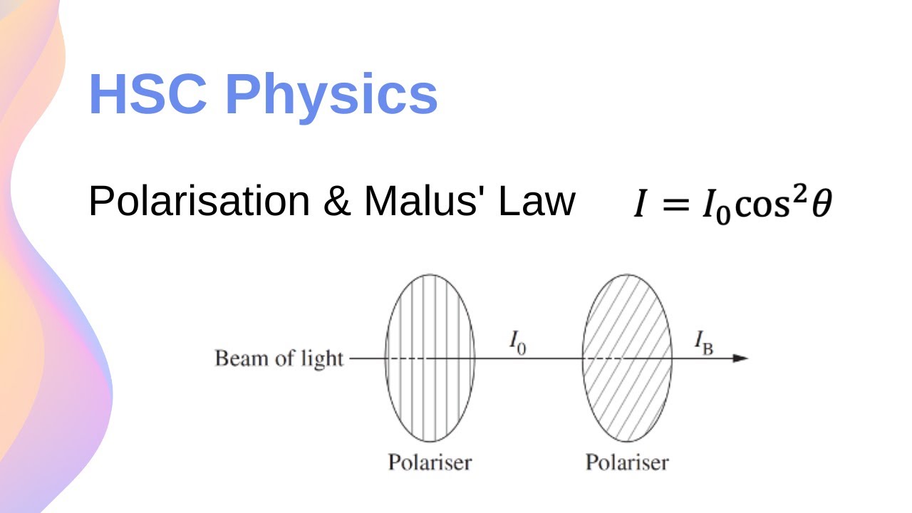 Поляризация света и закон Малюса с расчётами! // HSC Physics