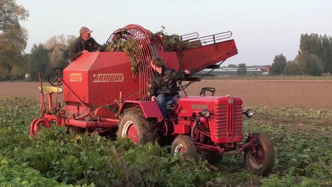 Landb. Lebbe - Ieper - Farmall D-217