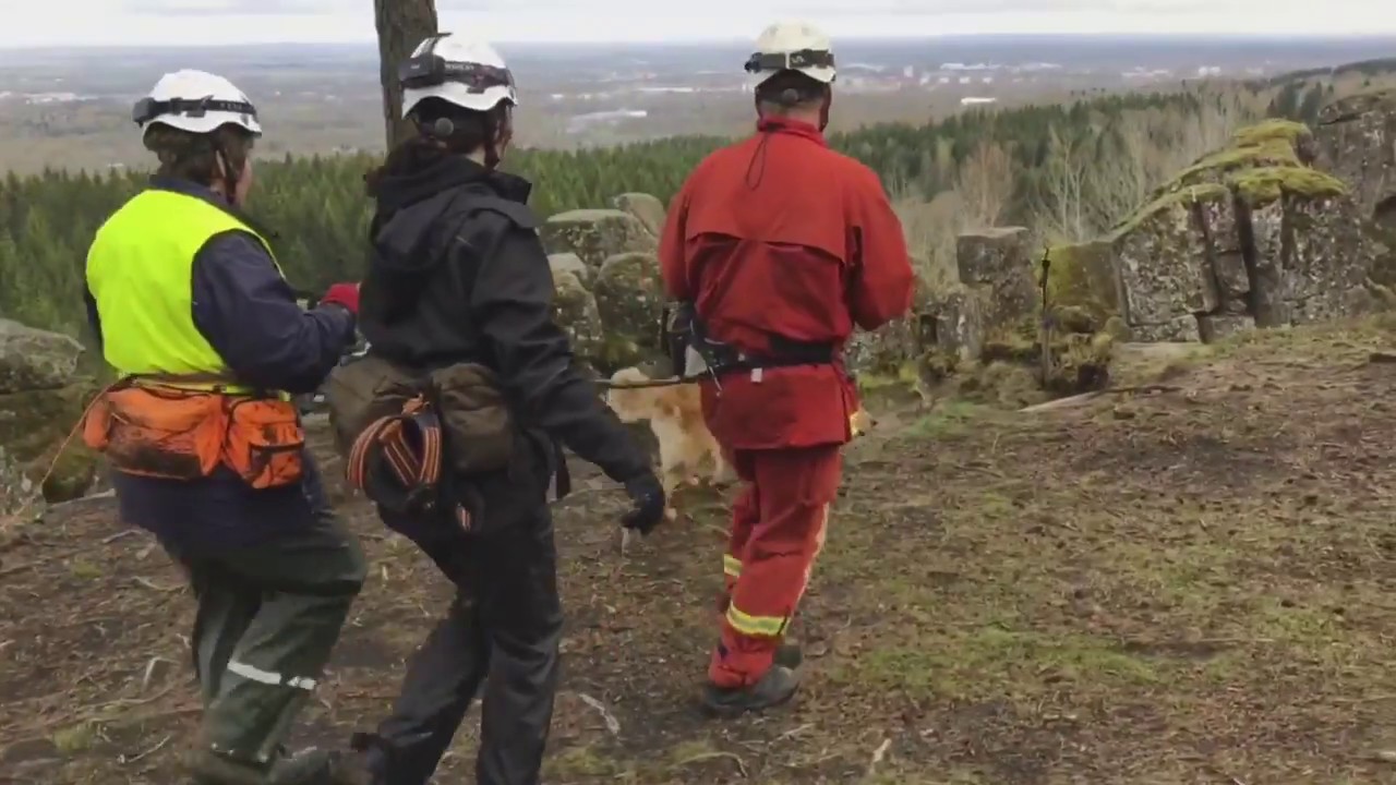 RHFU- Räddningshund förar utbildning 2018