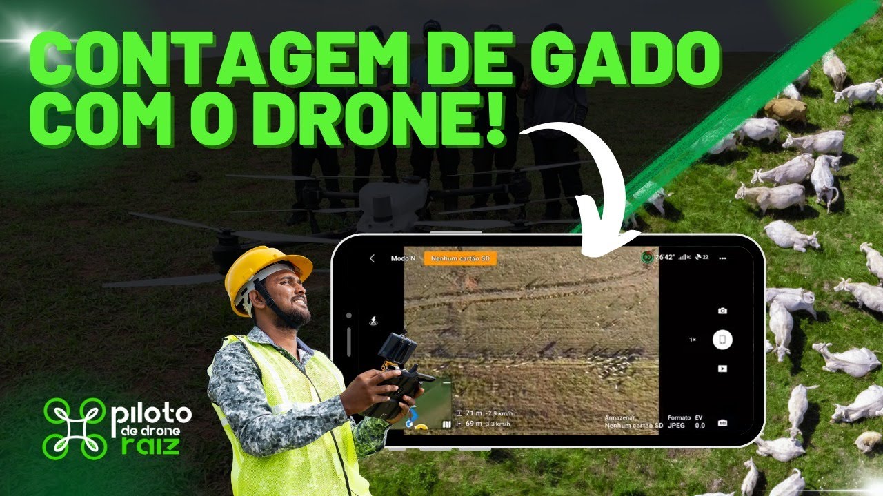 COMO CONTAR GADO COM O DRONE ?